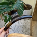 Detail of 15cm French tortoise hair claw clip with glossy finish for thick hair styling - Butterfly Back Style / Extra Large (Approx. 15cm) / Matte French Brown