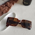Occhiali da sole rettangolari retrò tartarugati con lenti marroni in stile chic - Leopardo 4