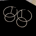 Detailweergave van geometrische zilveren oorbellen met dubbele ring op zwart fluweel - Zilveren Pin - Gekoppelde Cirkelring / Zilver
