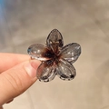 Transparent Glitter Grey