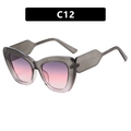 Cat eye glasses frame in translucent grey with pink purple gradient lenses - Grey Pink Frame Grey Pink Lens