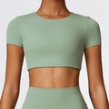 Tight-fit cropped sage green yoga short sleeve top in high-elasticity matte sports fabric - M / Basil Green