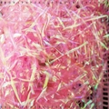 Iridescent pink laser shredded raffia paper for decorative gift box filling material - 100g Pack / Iridescent Light Pink