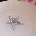 Y2K star-shaped hair clip featuring silver alloy base and sparkly inlaid rhinestones - Silver Pave Rhinestone Star Hair Clip