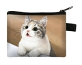 Mini cat illustration coin purse with black zipper and cute kitten pattern - Cat Illustration