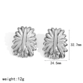Detalle de pendientes plateados en abanico con medidas 32,7mm x 24,5mm y peso de 12g - Plateado