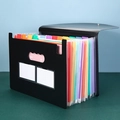 Cartella a soffietto nera con 12 scomparti colorati e schede di indice arcobaleno - Nero Arcobaleno Interno [13 Scomparti]