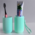 OPP Bag With Lanyard / Large Toothbrush Holder Green
