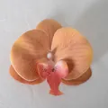 Testa di fiore di orchidea Phalaenopsis arancione artificiale con petali realistici - Pellicola 3D Caffè N. 2 (Piccolo)