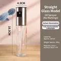 100ml glass oil sprayer with stainless steel nozzle and transparent bottle for cooking - 100ml / Stainless Steel