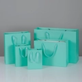 Tiffany Blue Herringbone Pattern; (vertical) 28cm Long * 10cm Side * 33cm High