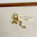 Detailed view of a golden frog brooch in polished metal on a minimalist background - 43 Gold Frog (U-12)
