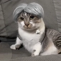 Short silver-grey synthetic hair pet wig with middle part for cats and small dogs - Middle Part Grey