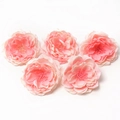 Set de cinco cabezas de flores de seda artificiales rosas para decoraciones de bodas DIY - #15 Rosa pequeña de borde quemado (Pack de 5)