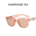 Square frame sunglasses in champagne translucent finish with tea-colored lenses - As Shown / Champagne Frame Tea Lens
