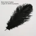 Cinq plumes d'autruche noires de 25-30cm pour bouquets de fleurs DIY et décorations - Noir (25-30cm)