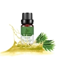 100% pure Cajeput essential oil in 10ml brown glass bottle with green leaf decor - White Bottlebrush (cajeput) - Single Ingredient