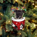 Weihnachtssocken-Hundeanhänger mit schwarzem Pitbull, festlichem Geweih und goldener Kordel - Pitbull