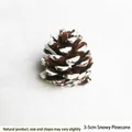 Natural 3-5cm snowflake pinecone for Christmas DIY crafts and holiday home decorations - 3-5cm Snow-covered Local Pine Cones