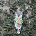 Resin bull skull wall hanging with succulent carvings in black and green finish - Black Horn Succulent Sheep
