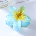 Close-up of a 7cm light blue and yellow gradient plumeria flower hair claw clip - Blue Yellow 7cm