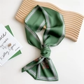 Dark green satin skinny scarf with vintage print and stripes on a wooden display - Saddle Green