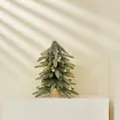 Mini 40cm frosted artificial Christmas tree with warm LED lights and wood base - Spray White Frost Naked Tree With LED Lights