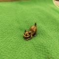 Vista dettagliata della scultura di gatto in ottone con trama di pelo fine e posa reale - Gatto sdraiato