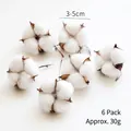 Set of 6 natural dried white cotton flower heads for DIY decor and flower arrangement - White Cotton Balls (6 pieces) / 30g