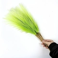 Green 55cm artificial pampas grass bundle with fluffy plumes and lifelike brown stems - 53-55cm / Yellow-Green Gradient