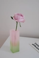Pink and green gradient acrylic rectangular flower vase with frosted translucent finish - Frosted Pink & Green