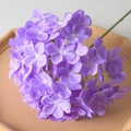 Lollipop Hydrangea Purple