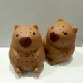 Jouet anti-stress capybara marron en silicone avec des trous d'absorption d'eau - Capybara Brun