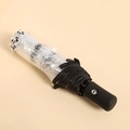 Compacte automatische vouwparaplu met transparant panda-ontwerp en matte zwarte handgreep - Automatisch/8 Baleinen / Transparante Panda