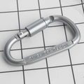 Moschettone a D in alluminio argento con incisione di sicurezza Not For Climbing - Piatto / Grigio