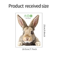 Wandtattoo Hase FX-F210, realistischer brauner Kaninchen Aufkleber für Glas, 19,5x25cm - Realistisches Braunes Kaninchen-FX-F210 / 25*19.5CM