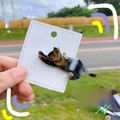 Detail of cute cat-shaped hair clip in black and amber tortoiseshell pattern with backcard - Starry Black