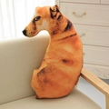 20cm / Perro nativo