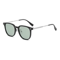 Classic black square sunglasses with silver metal temples and light green lenses - Black Silver Frame Green Lens C9