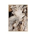 Modern Nordic canvas print showing close-up of frosted autumn leaves in a light frame - 10x15cm / Style C-Frosted Fallen Leaves