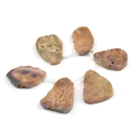 Polished natural stone slices in brown and tan with unique mineral textures and patterns - 6 Pieces/Pack (22-28mm) / Electroplated Burgundy