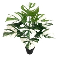 Detailed view of variegated Monstera deliciosa leaves with realistic green and white patterns - 12-Head White Variegated Monstera (Without Pot)