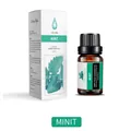 Peppermint essential oil in 10ml amber glass bottle with mint green packaging box - Mint