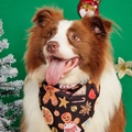 Close-up of a border collie wearing a black Christmas gingerbread pet triangle scarf - Black Background Christmas Print Style