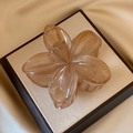 8cm Brown Standard