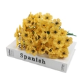 Artificial yellow violet flower bouquet with dark veins on white prop book background - Yellow