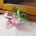 Dettaglio di un fermaglio per capelli a fiore di plumeria con sfumatura rosa e verde - Verde Rosso Trasparente