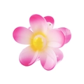 Detail of pink gradient flower hair claw clip with glossy finish on white background - Pink Gradient