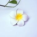 White and yellow frangipani plumeria hair clip accessory for beach styling - 4cm / White Flower Head