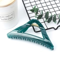 Elegant dark green triangle hair claw clip styled with eucalyptus and home decor accessories - Teal